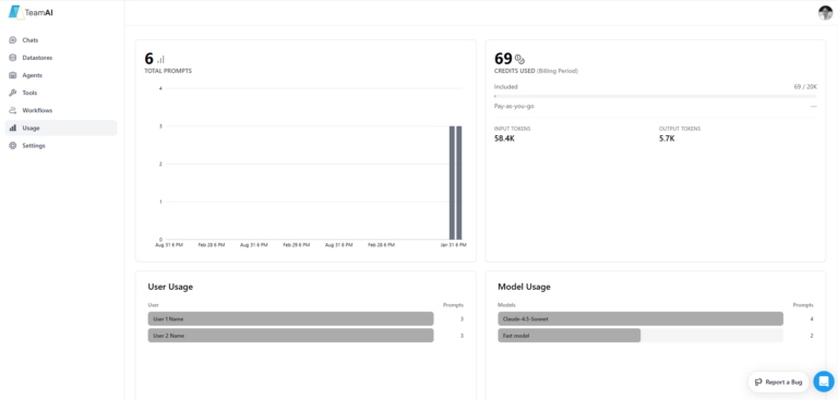 Screenshot of the TeamAI platform's 'Usage' section. The main panel shows a dashboard summarizing total prompts, credits consumed, input tokens, and output tokens. Below this, there are charts or lists detailing individual user adoption by prompt count, and AI model usage with prompt counts for each model utilized in the workspace.